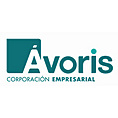 voris Corporacin Empresarial